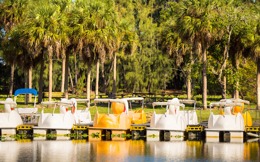 Rental paddle boats at Amelia Earhart Park