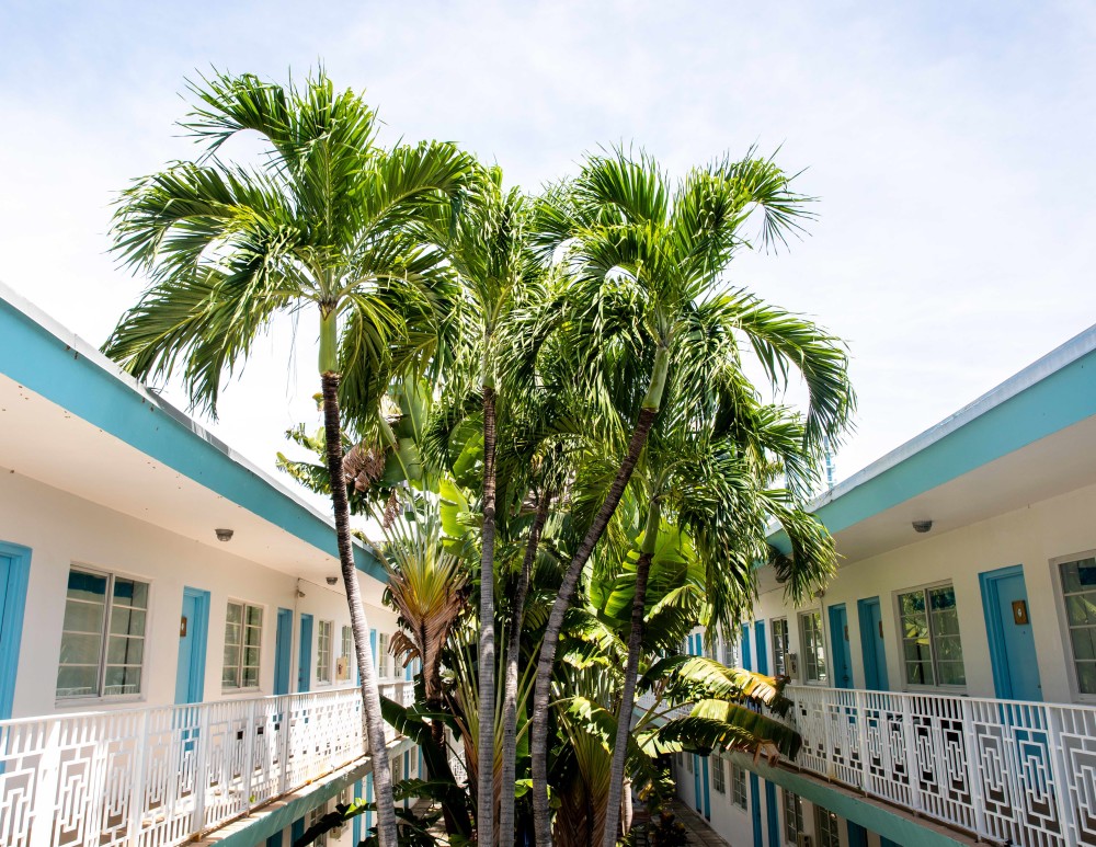 Courtyard
