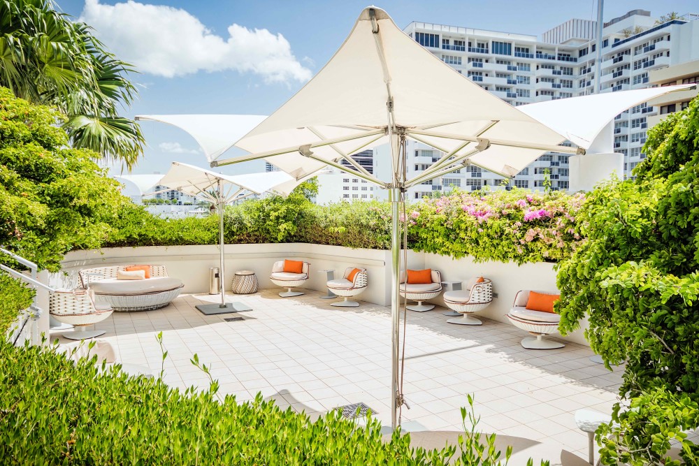 Rooftop Garden