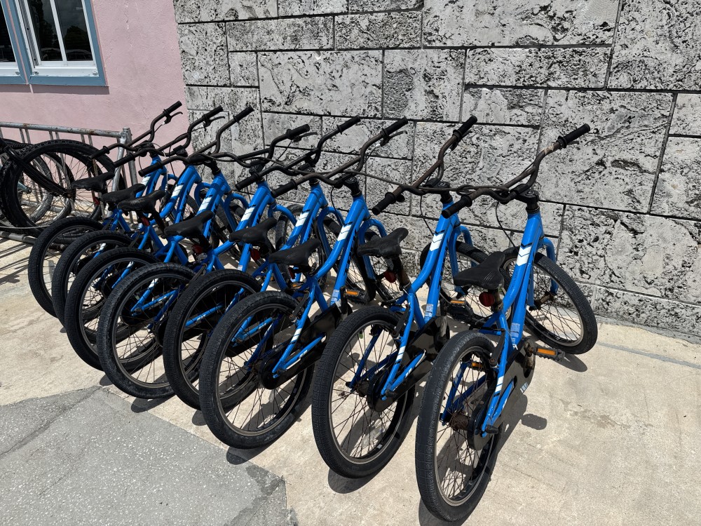 Flamingo Bikes
