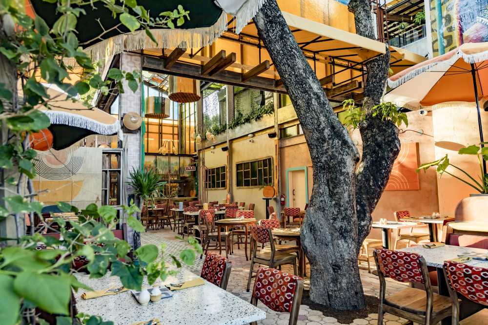 Beautiful terrace dining room space featuring a massive mango tree with a covered area under our custom stained glass cathedral.