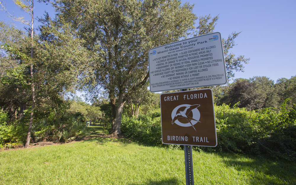Great Florida Birding Trails at Castellow Hammock Park