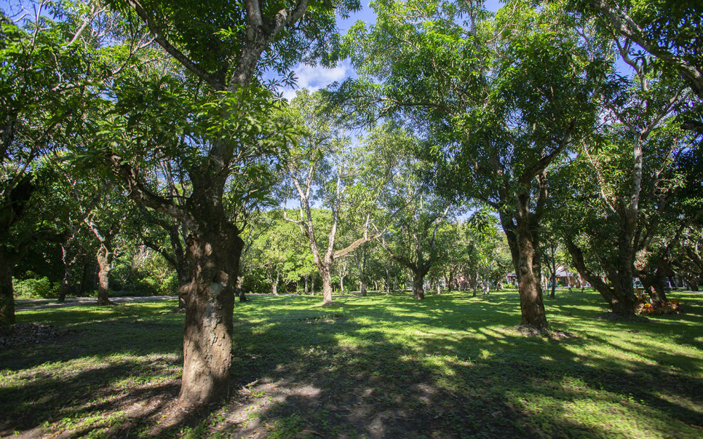 Open Spaces