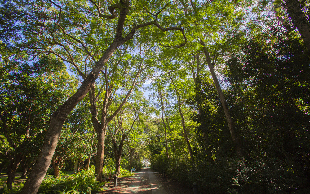 Pathway