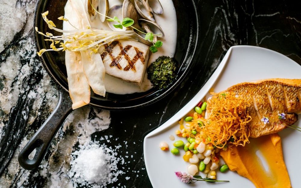 Cobia + Snapper 2