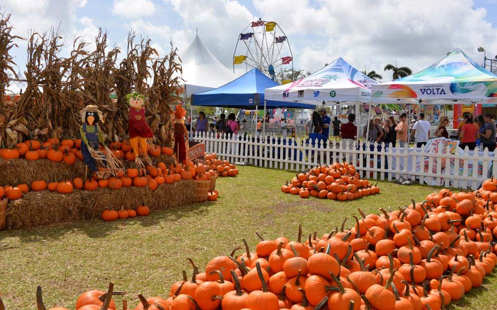 Coconut Grove Harvest | Miami & Miami Beach