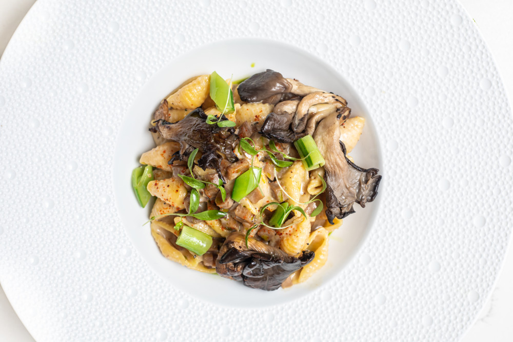 Conchiglie pasta, coconut mushroom bouillon