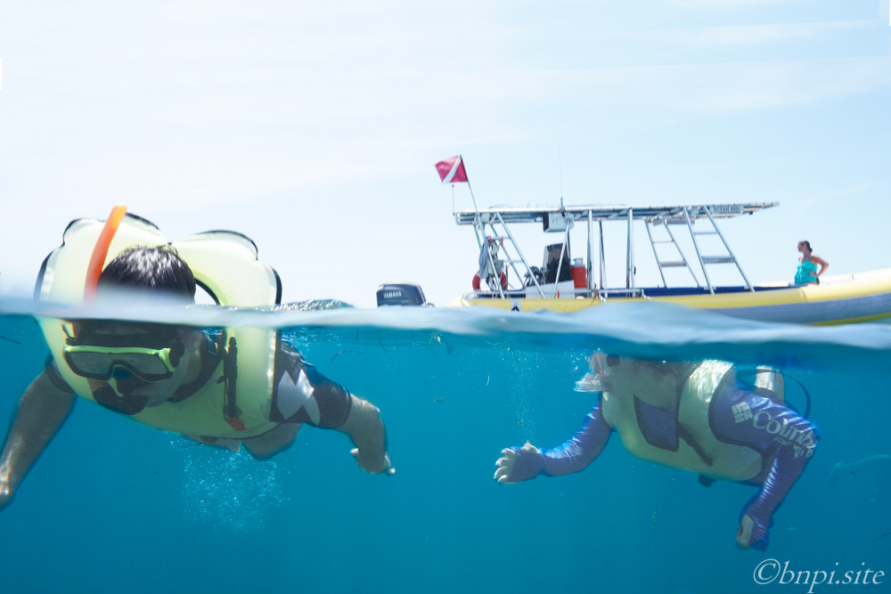 Snorkel a reef, Shipwreck or the Bay