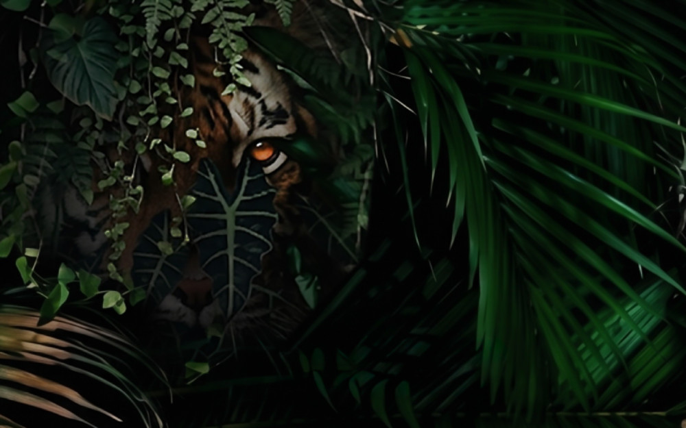 Delano Miami Beach Presents: Queen of the Jungle photo