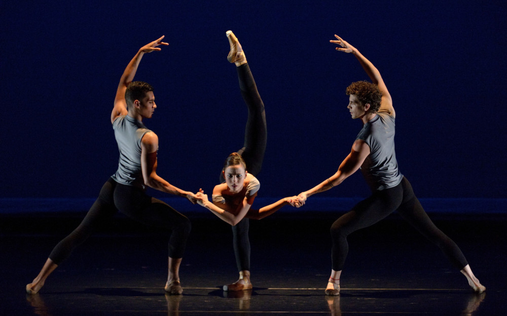 Daniel Lewis Dance Sampler photo