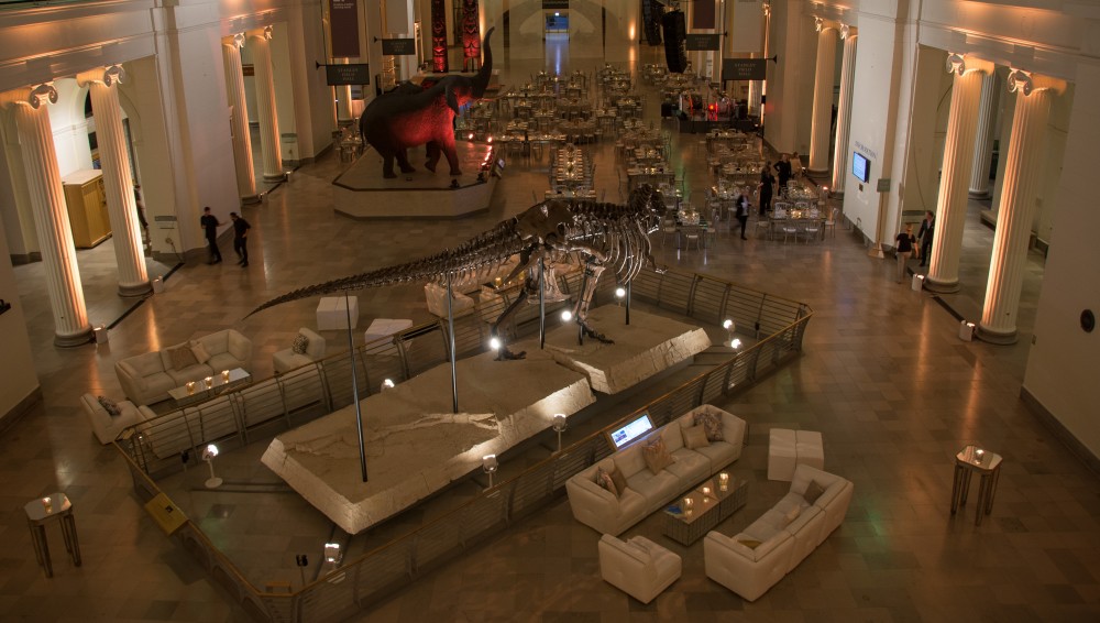 Organisation von Firmenveranstaltungen im Field Museum in Chicago