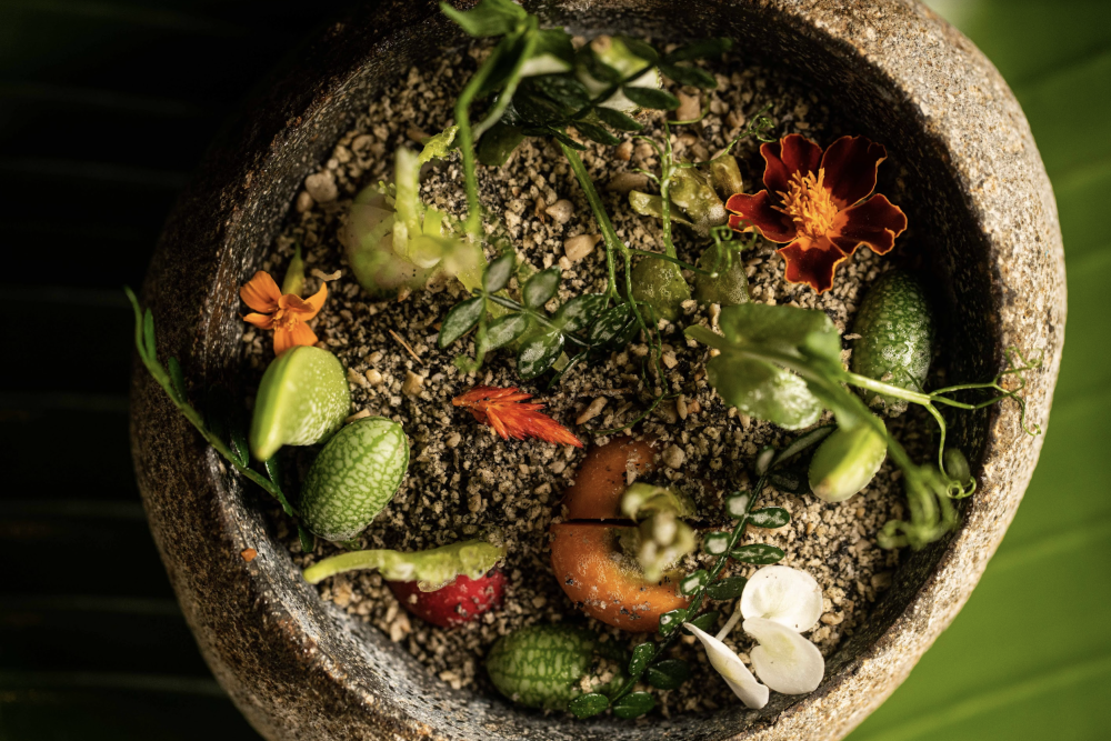 thumbelina carrot, sugar snap pea, easter-egg radish