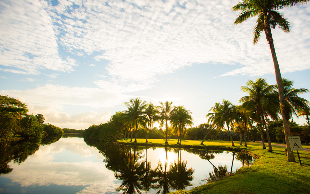 Blue skies over Fairchild Tropical Botanic Gardens