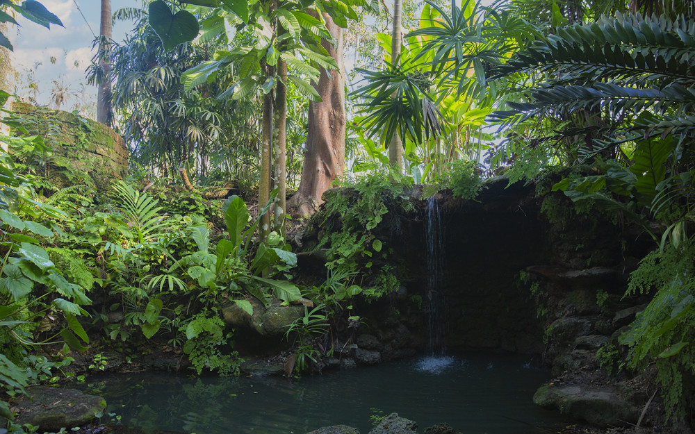 Lush waterfall
