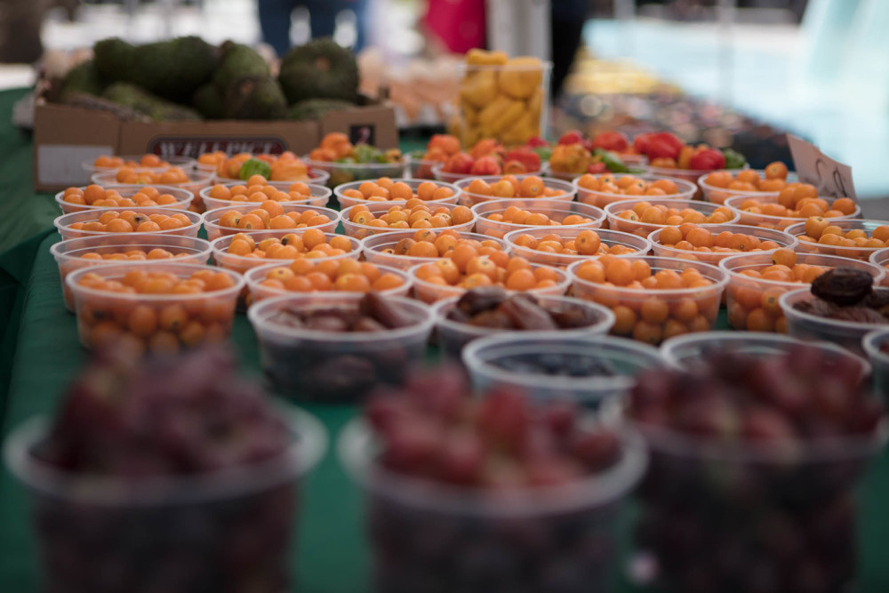 Pinecrest Gardens Farmers Market photo