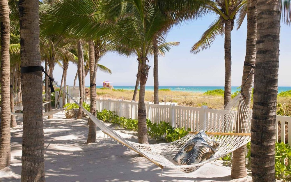 Hammock overlooking the beach