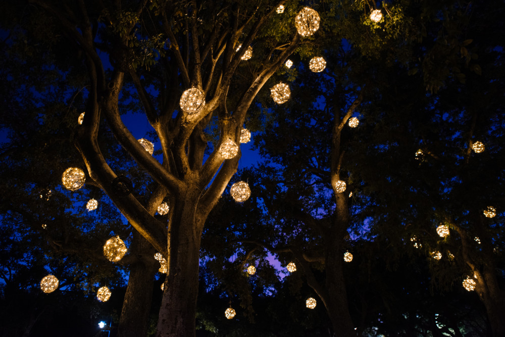 Grove Glow Lighting Installation