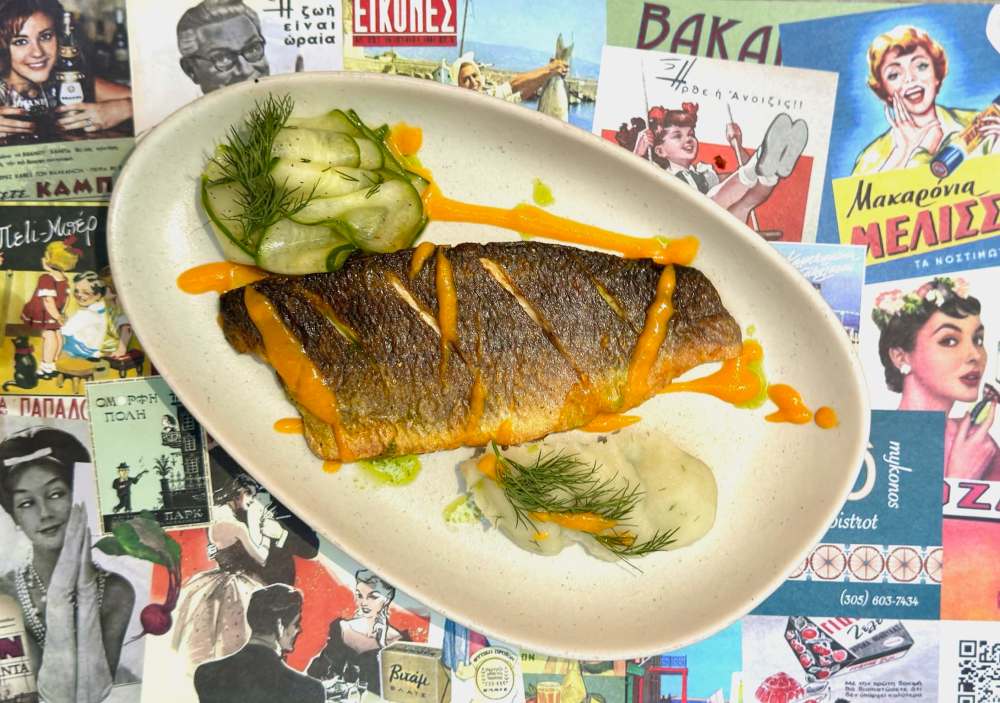 Filet de branzino poêlé aux épices de Miami servi avec coulis de poivrons, purée de fenouil, salade de concombre et d'aneth