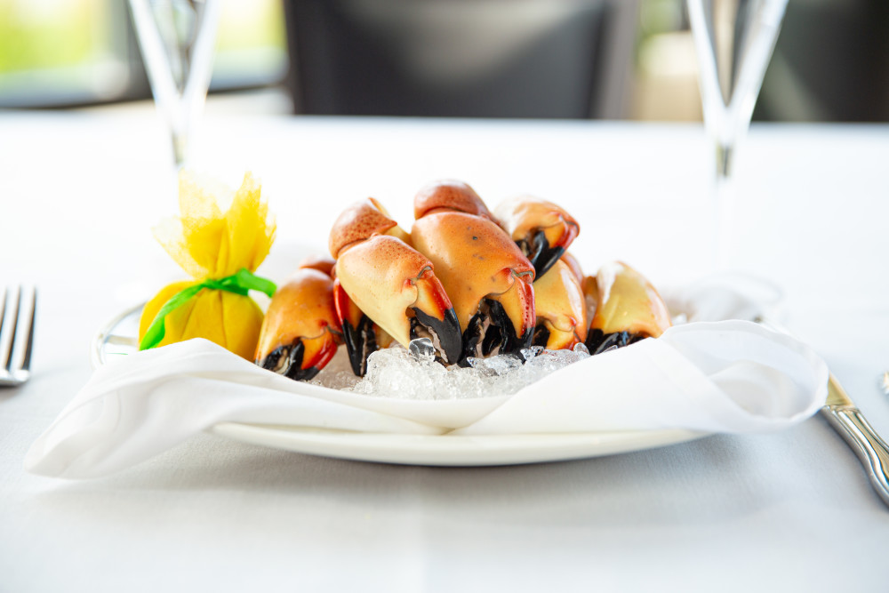 Florida stone crab