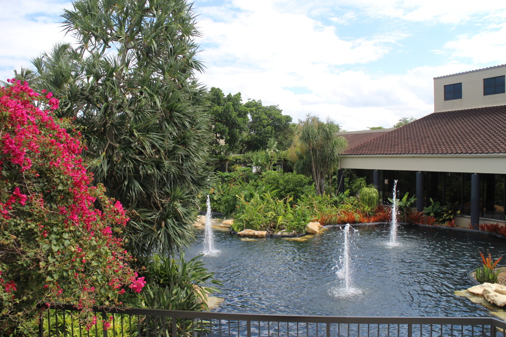 Lagoon