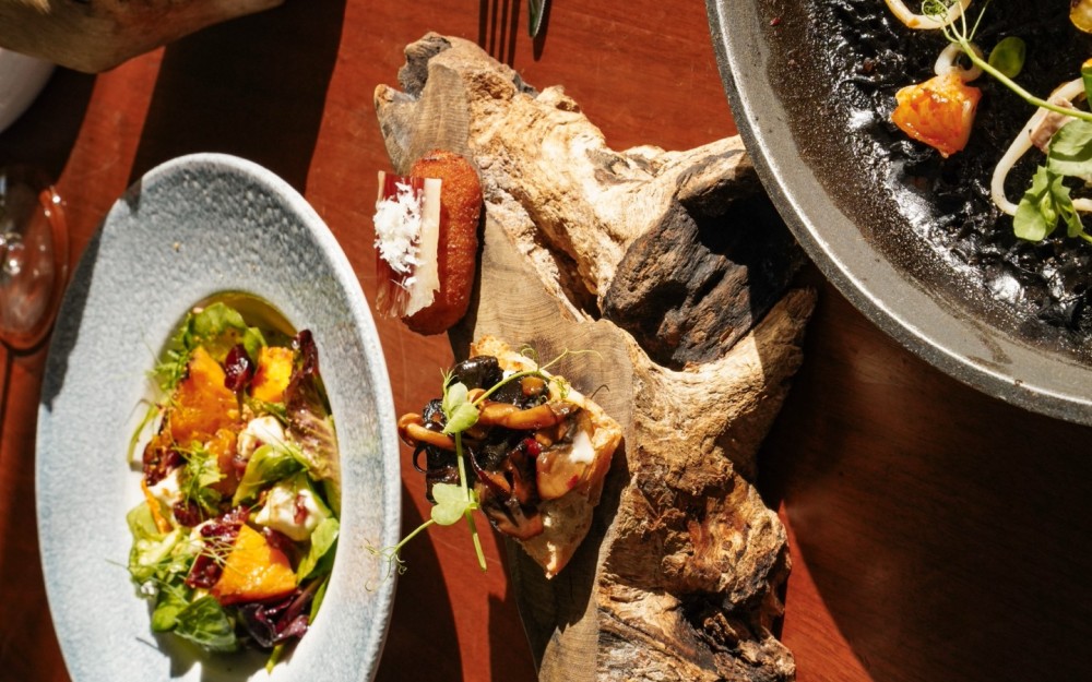 IBERIAN CROQUETA AND PARMESAN - WILD MUSHROOMS "AL AJILLO" MONTADITO