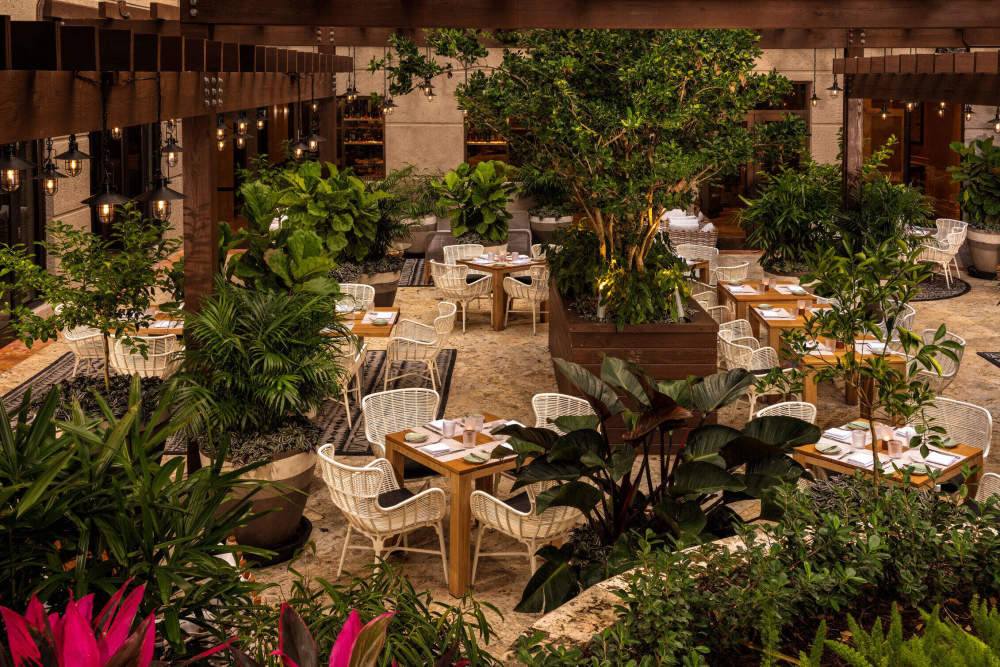 Isabelle's Coconut Grove