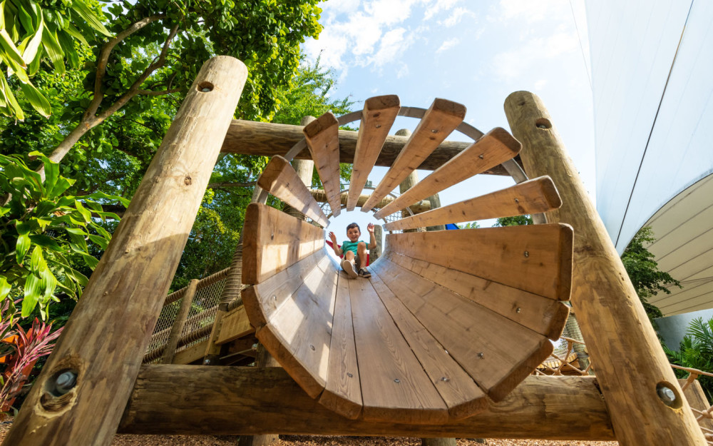 Jungle Island - Playground Scene