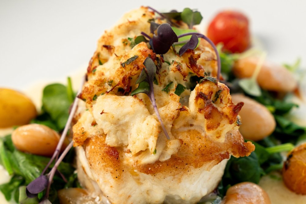 A Fish Called Avalon Grouper
