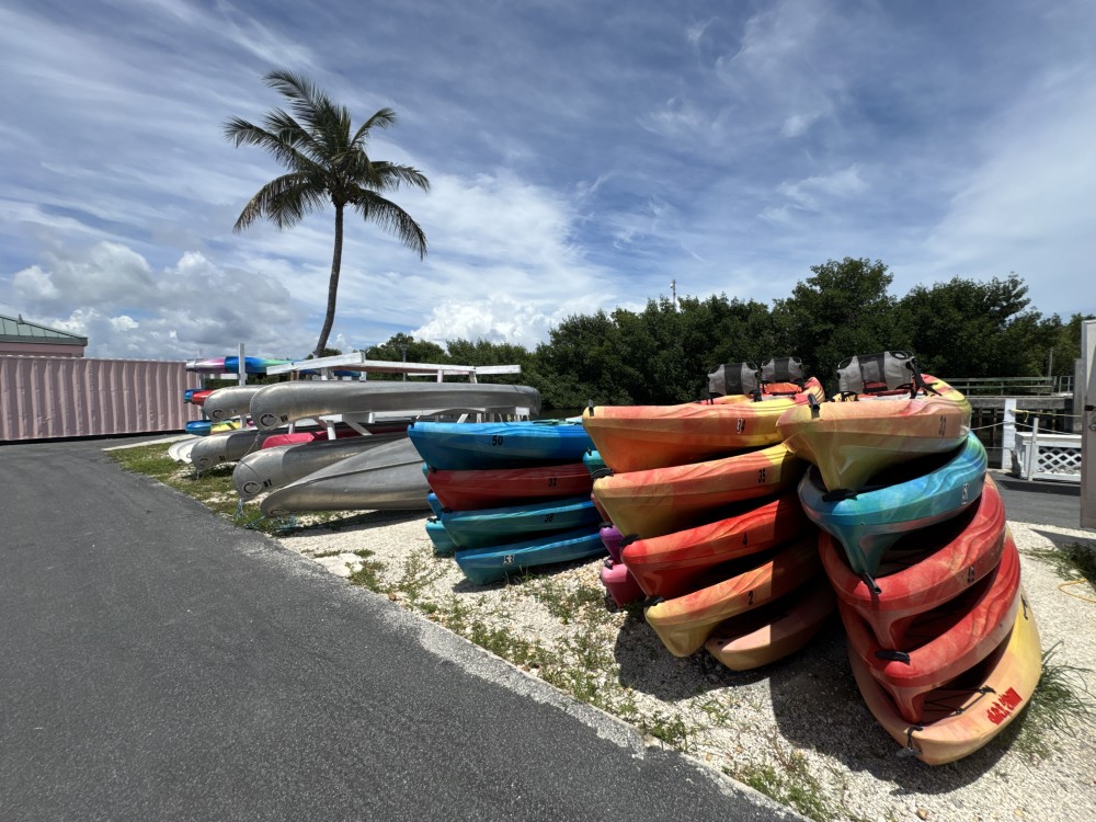 Kayaks and Canoes