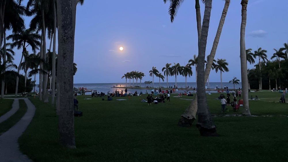 Moon Viewing photo