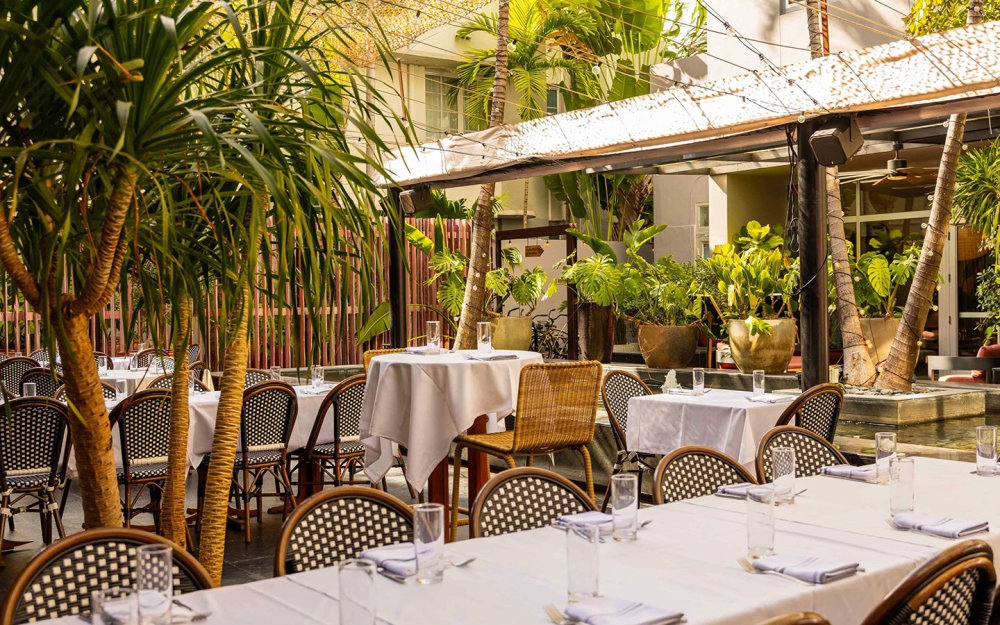 Lush outdoor vibes at Orange Blossom—dine under the stars and catch our dazzling fire show nights in a tropical garden setting.