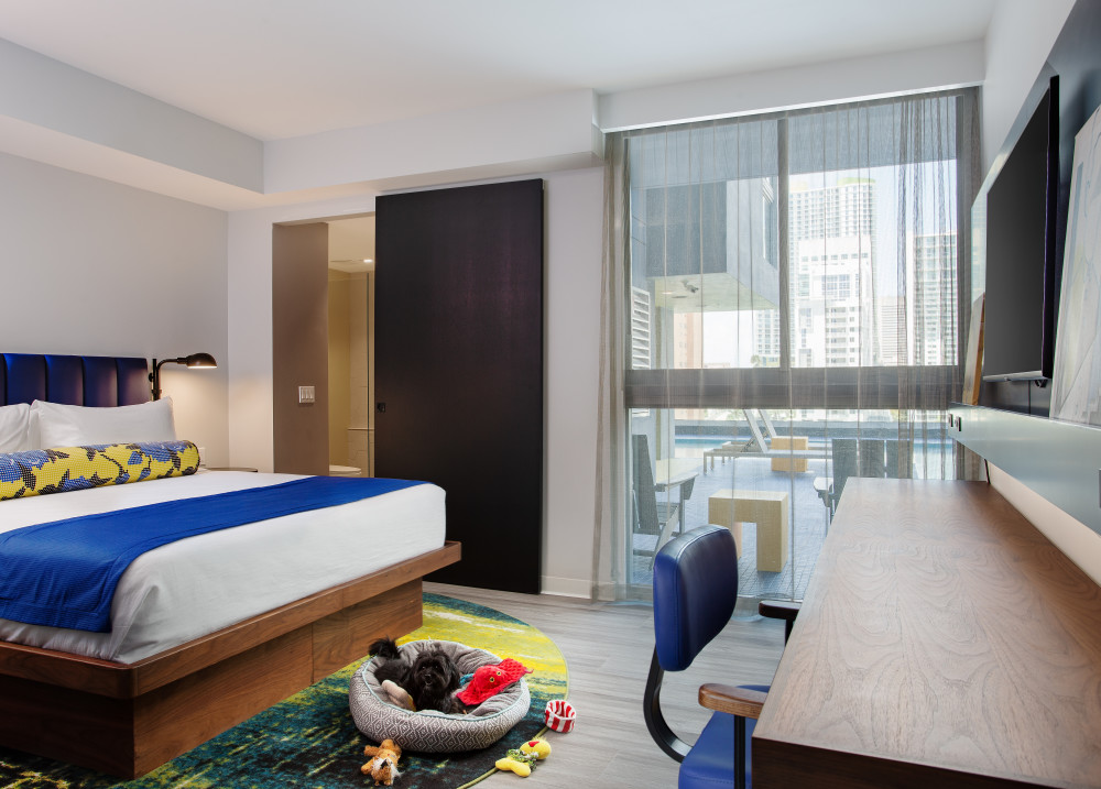 Hotel Indigo Miami Brickell accepte les animaux de compagnie Hotel . Veuillez nous contacter pour plus d'informations concernant nos politiques concernant les animaux de compagnie.