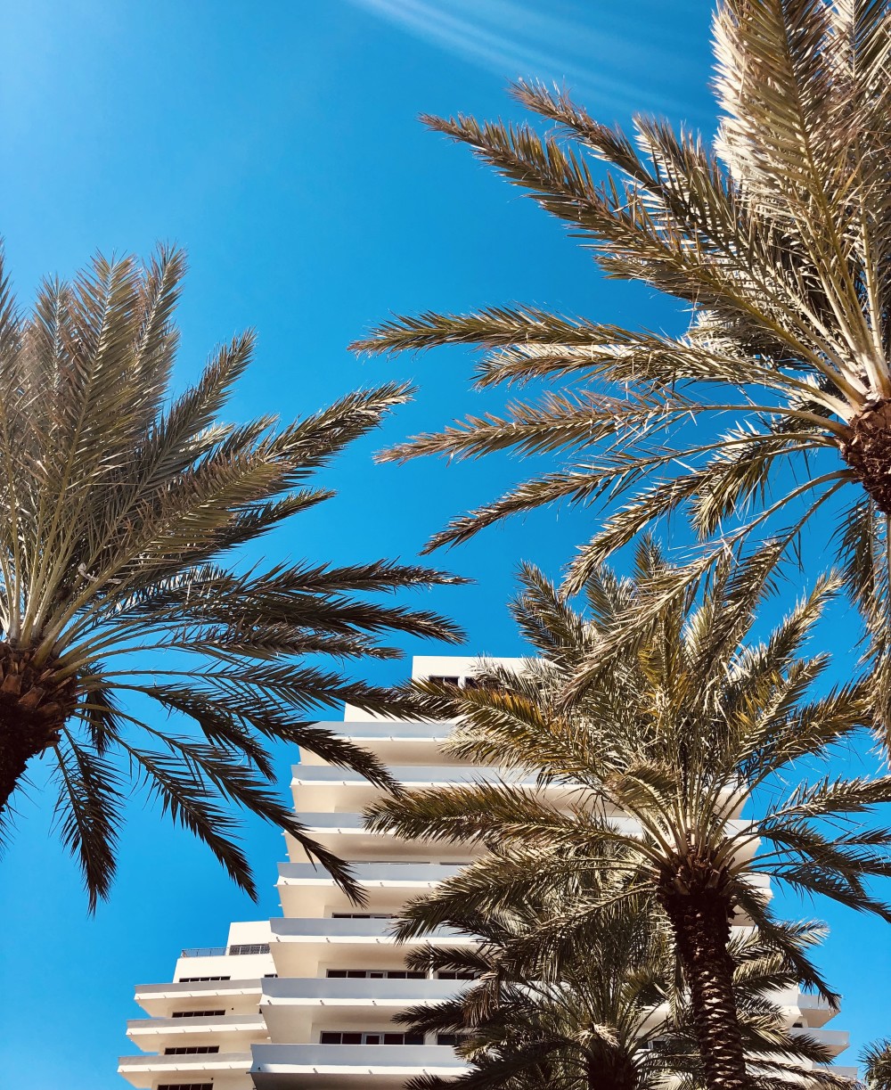 Nobu Hotel Miami Beach