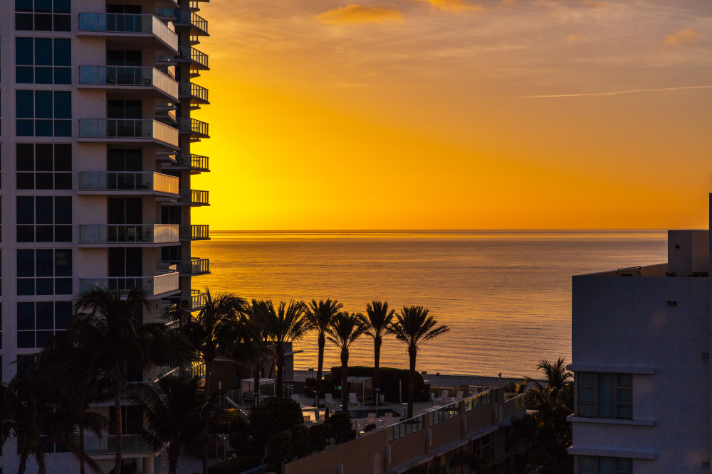 Rooftop Deck during Sunset