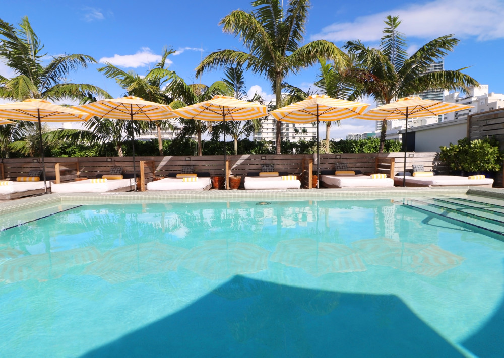 Rooftop Pool