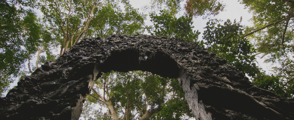 Arco