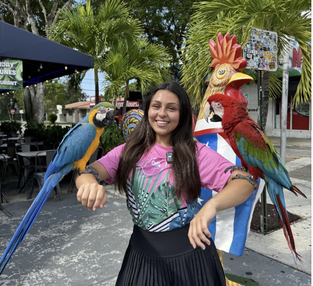 Always a fun Adventure with Flamingo Bus Miami Tours! Buy your tickets today!