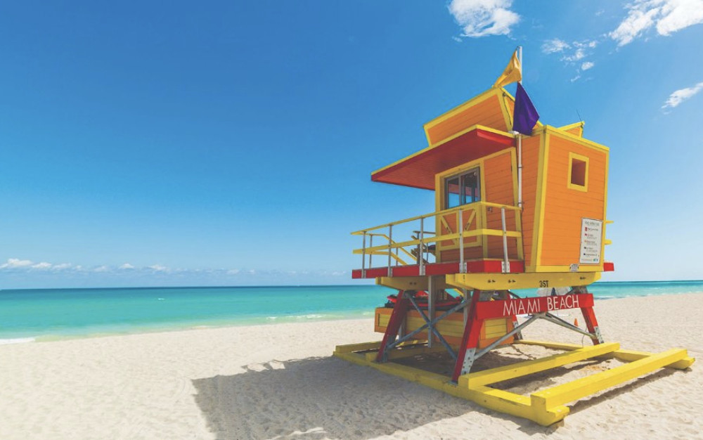 Flamingo Bus Miami Tours