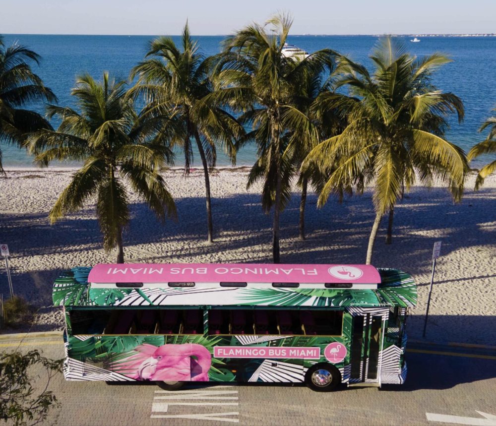 Flamingo Bus Miami Tours