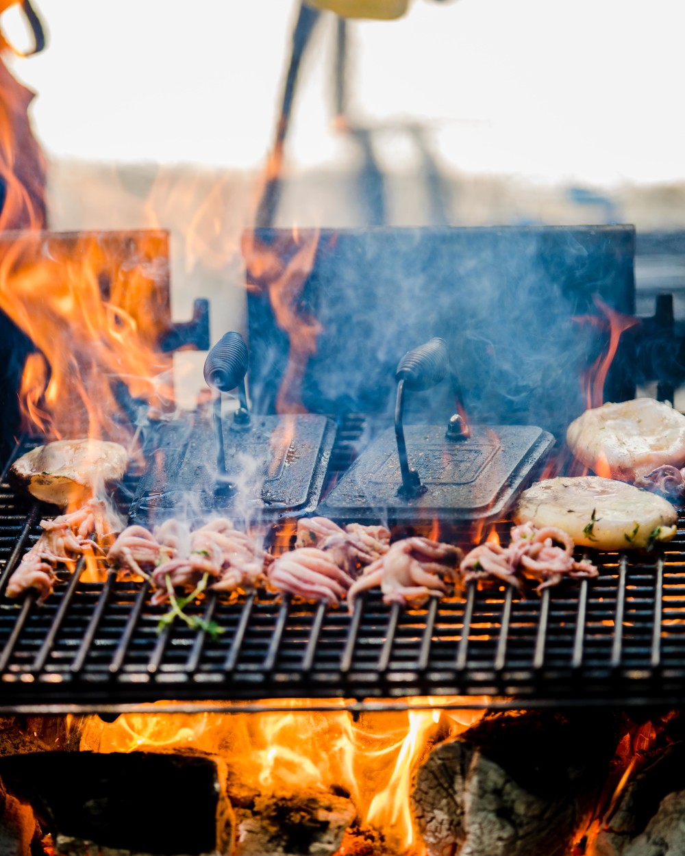 charred squid