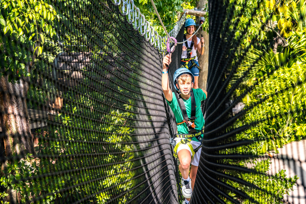 Climb through the forest canopy, and be surrounded by a lush jungle setting.