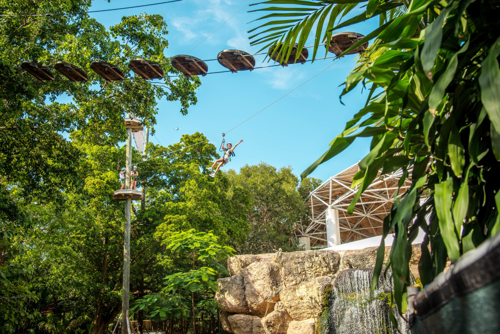 Soar through the jungle.