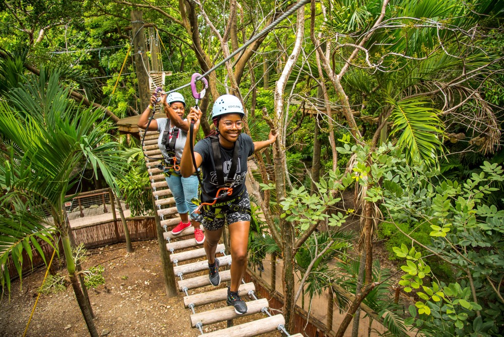 Climb through the forest canopy, and be surrounded by a lush jungle setting.