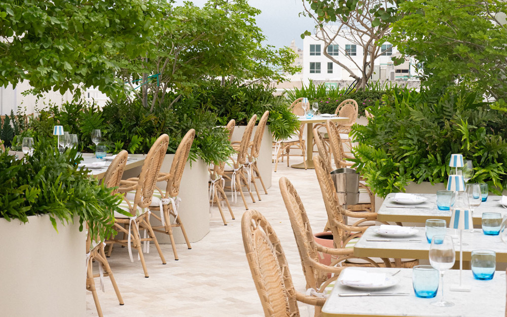 Beautiful cozy lush terrace, for an intimate moment with your loved ones.