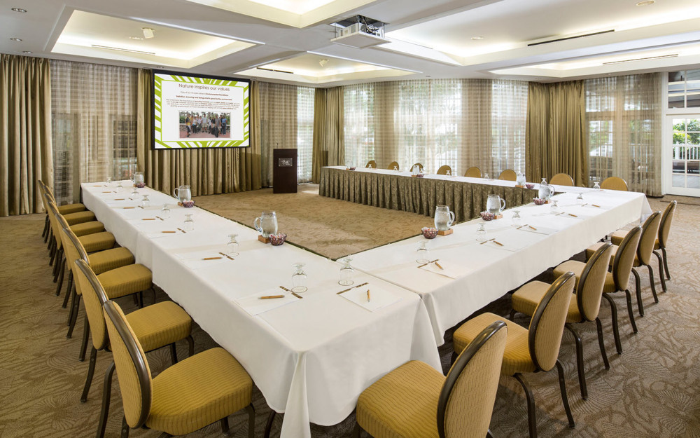 Queen Palm Meeting Room