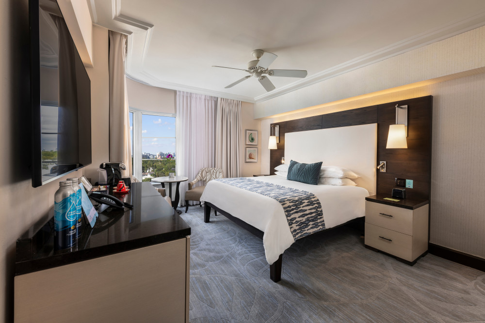 City View King Bed Guestroom