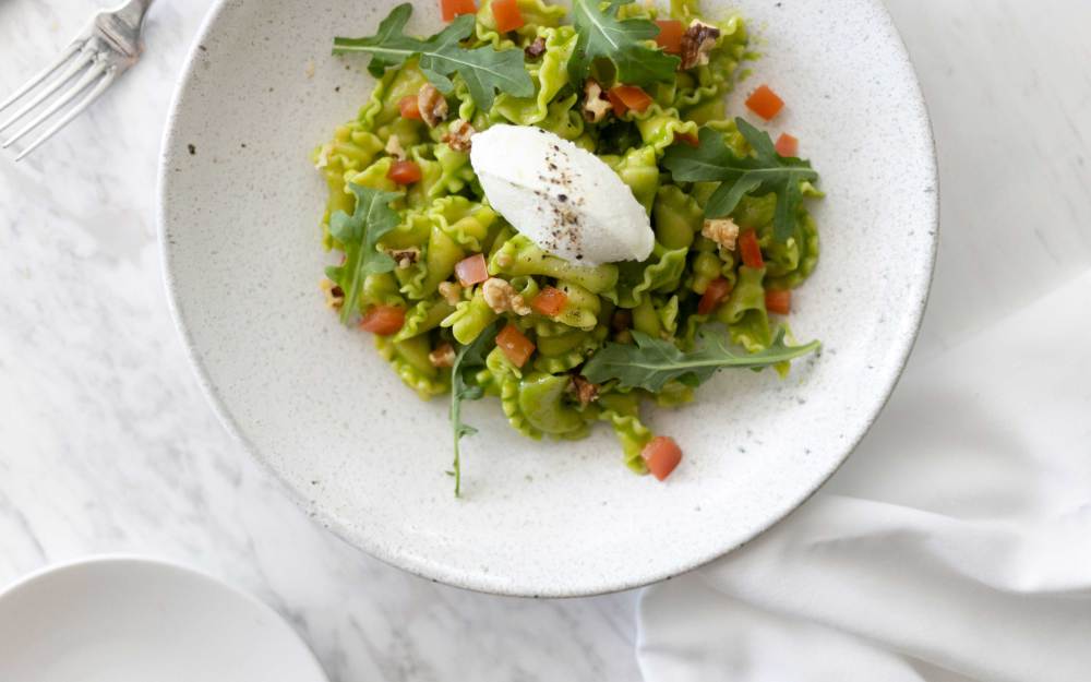 Campanelle with arugula pesto, whipped ricotta, concasse tomato, toasted walnuts