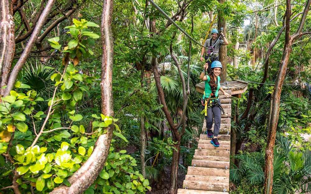 Climb through the forest canopy, and be surrounded by a lush jungle setting.