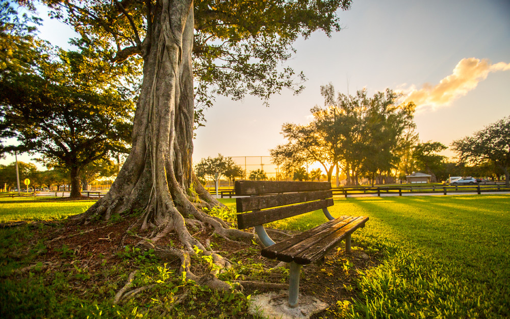 Sunset vistas at Tropical Park