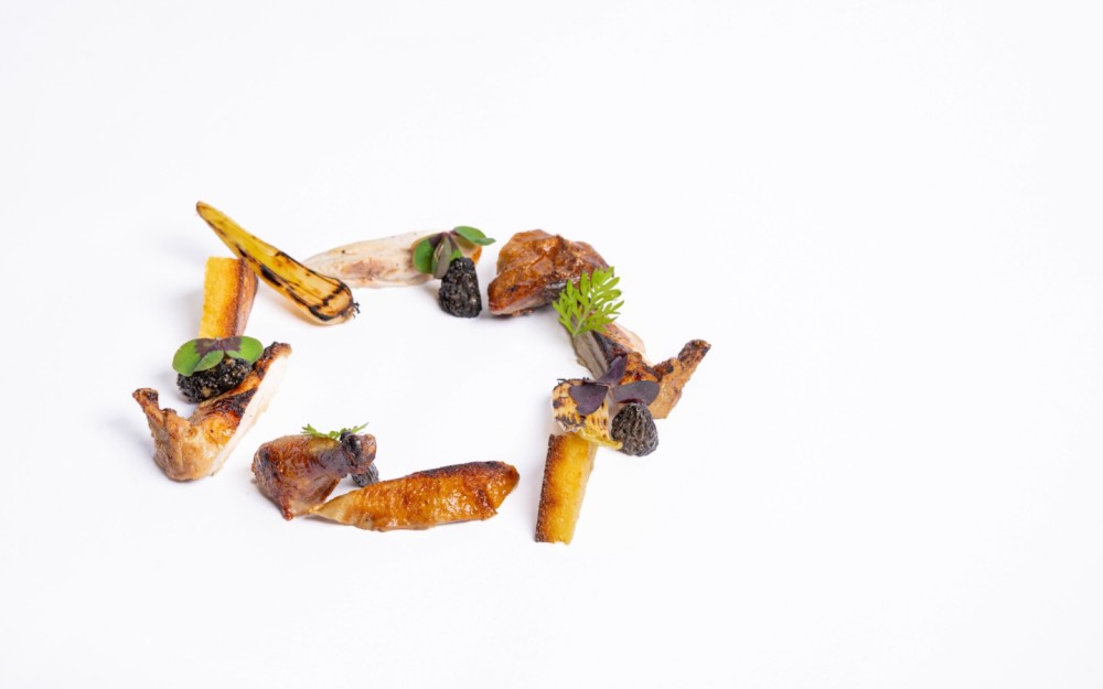 poussin, corn albufera, morels, crispy harina, spring onions, vin jaune